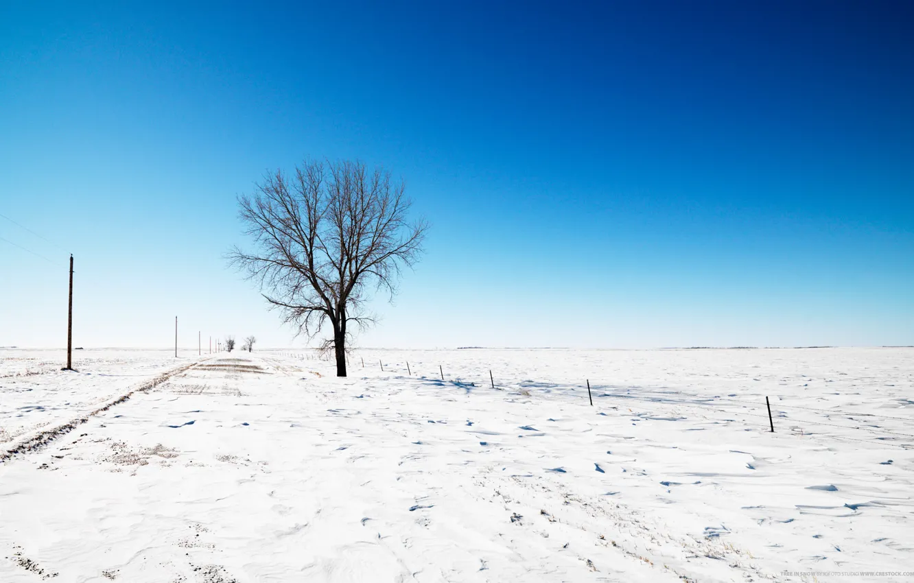 Photo wallpaper road, the sky, snow, tree, Winter