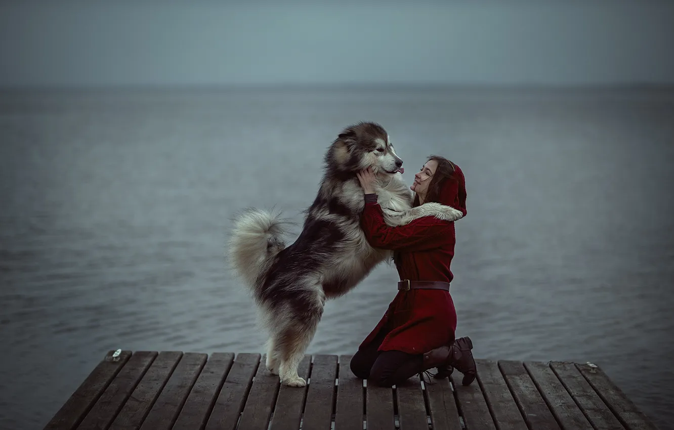 Photo wallpaper water, girl, each, animal, dog, bridges, dog, Alexander Kalinin
