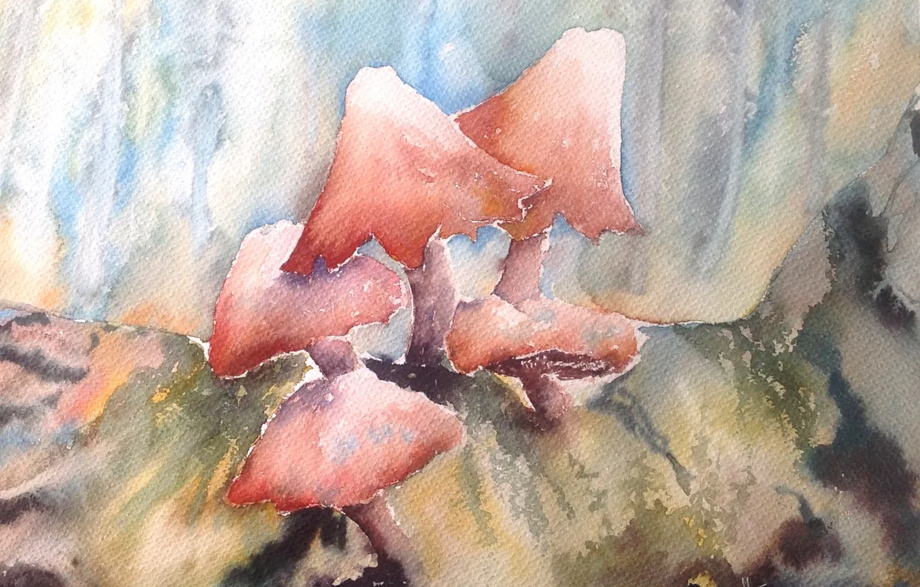 Photo wallpaper mushrooms, picture, watercolor