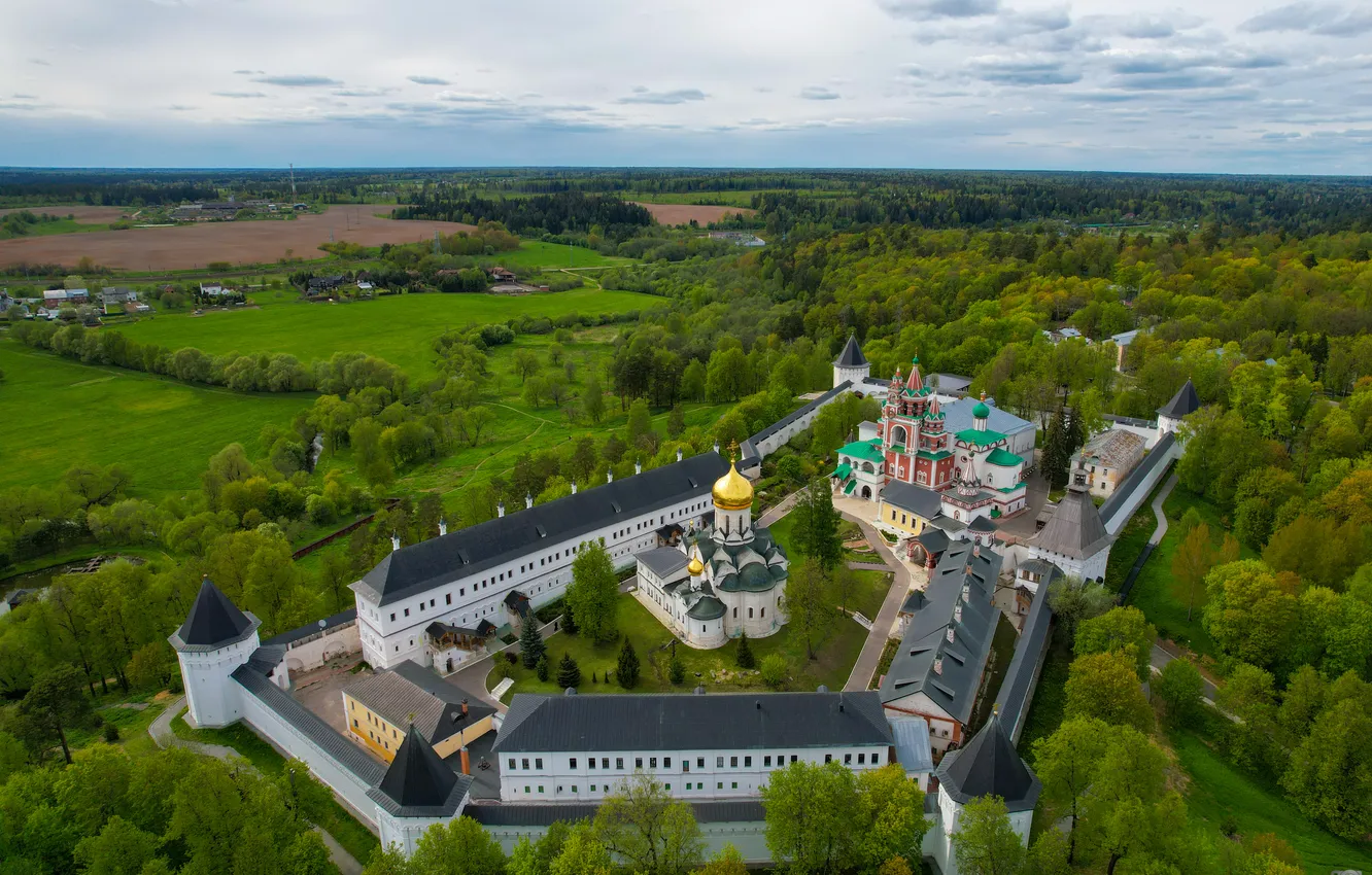 Photo wallpaper green, trees, nature, dome, construction
