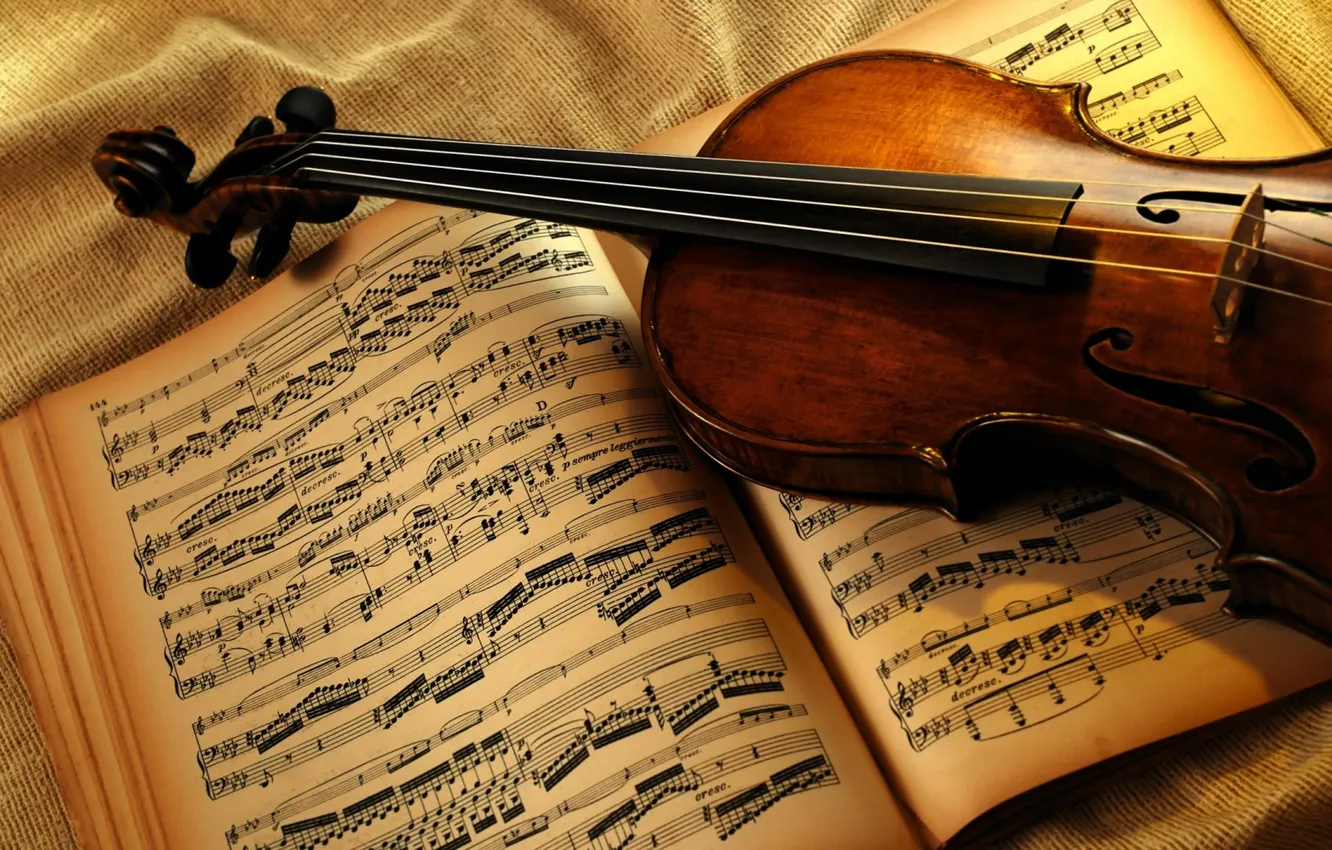 Photo wallpaper notes, violin, strings, musical instrument