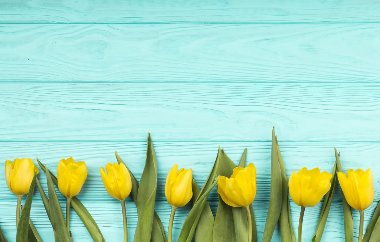 Photo wallpaper flowers, bouquet, colorful, tulips, yellow, wood, flowers, blue background