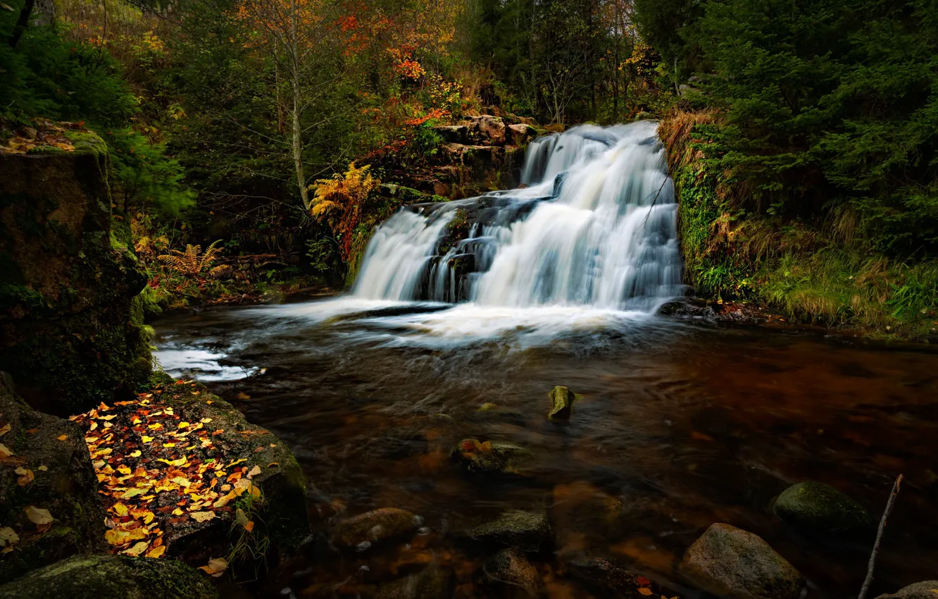 Photo wallpaper autumn, forest, river, waterfall, Germany, cascade, Germany, Baden-Württemberg