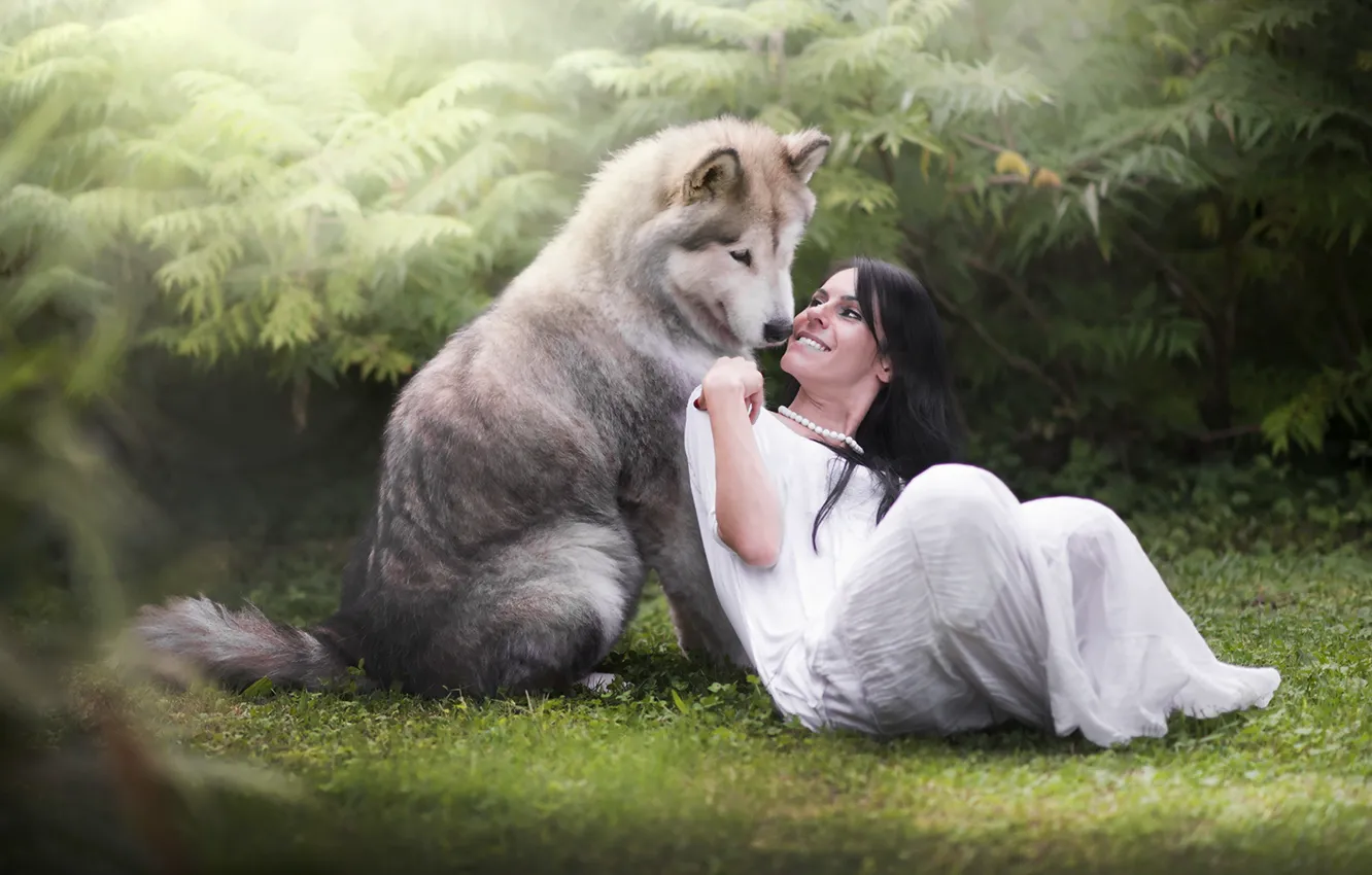 Photo wallpaper girl, mood, dog