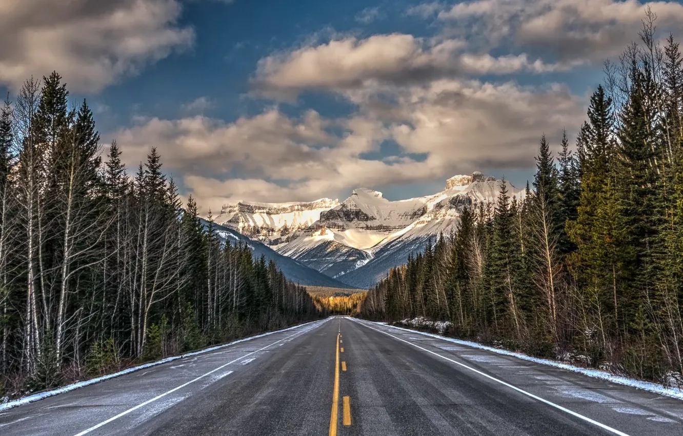 Photo wallpaper road, forest, mountains