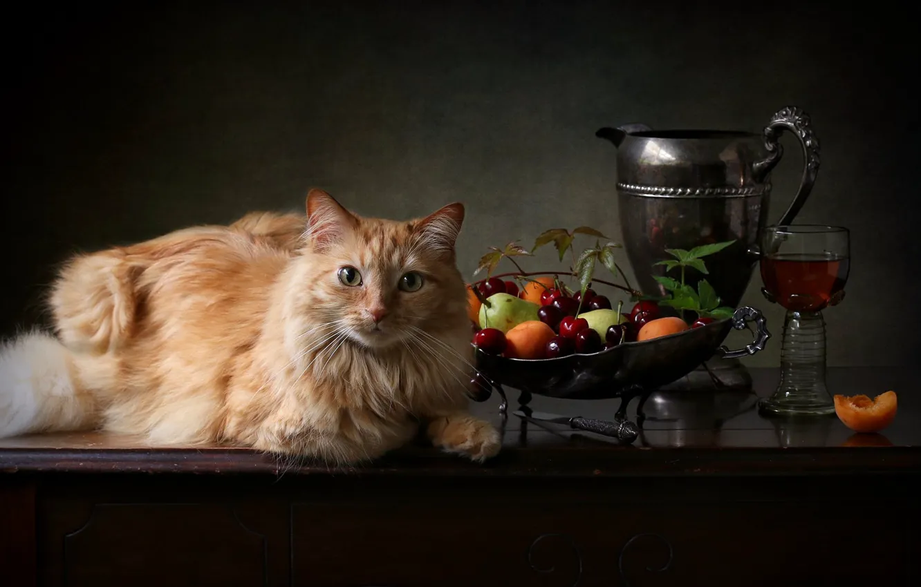 Photo wallpaper cat, cat, look, berries, glass, red, pitcher, fruit