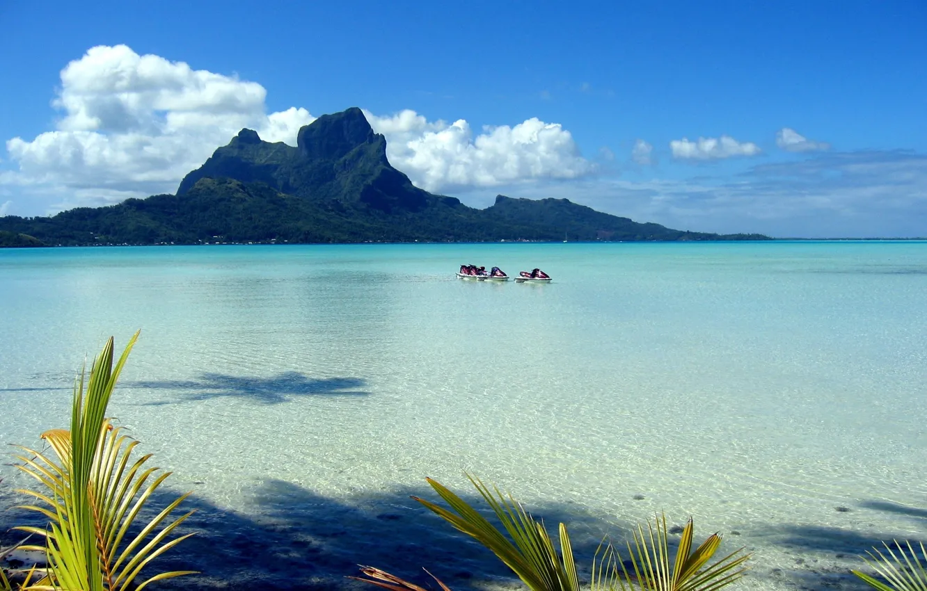 Photo wallpaper sea, the sky, leaves, clouds, palm trees, shore, Polynesia