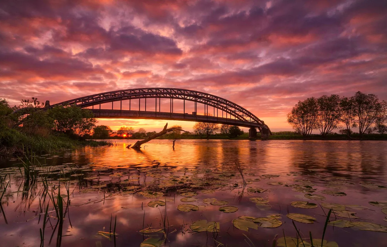 Photo wallpaper bridge, nature, river, glow