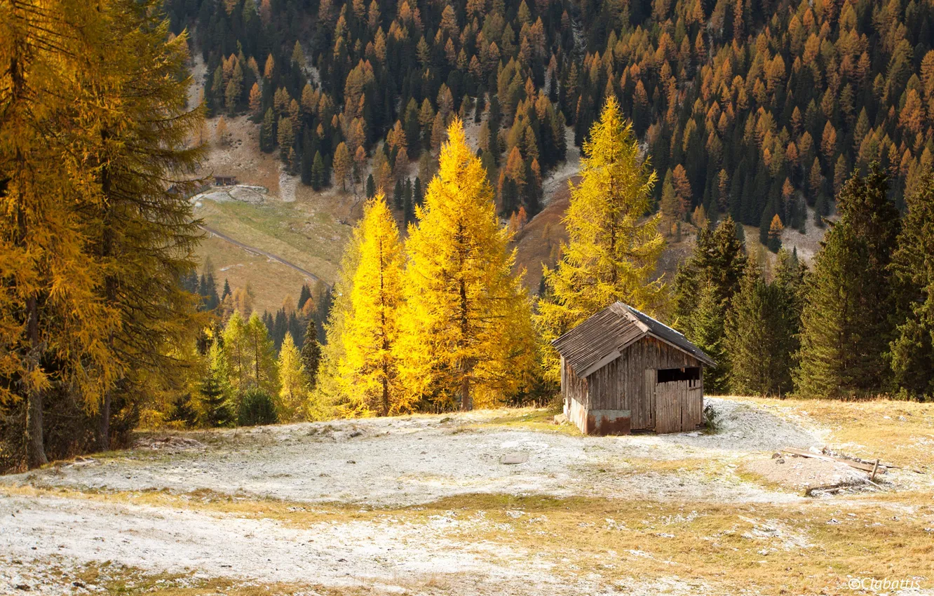 Photo wallpaper autumn, forest, trees, mountains, yellow, Switzerland, house, hill