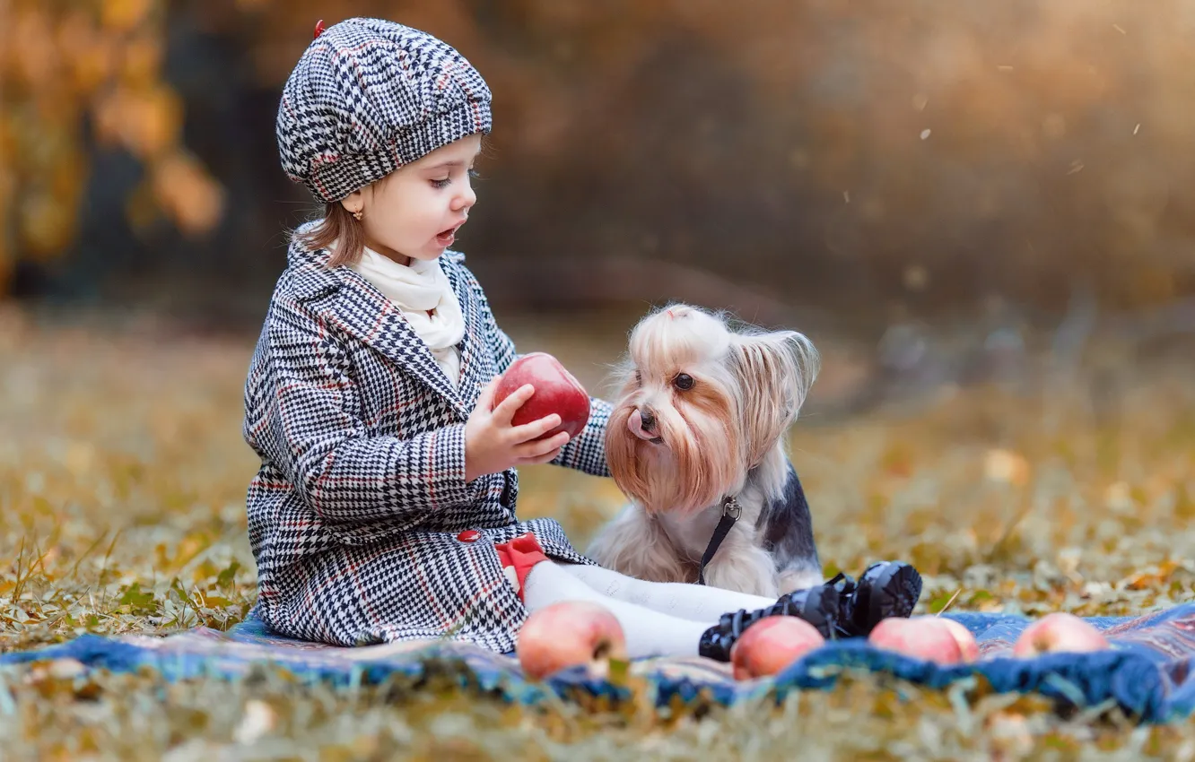 Photo wallpaper autumn, nature, girl, dog, baby, child, doggie, Vladimir Osaulenko