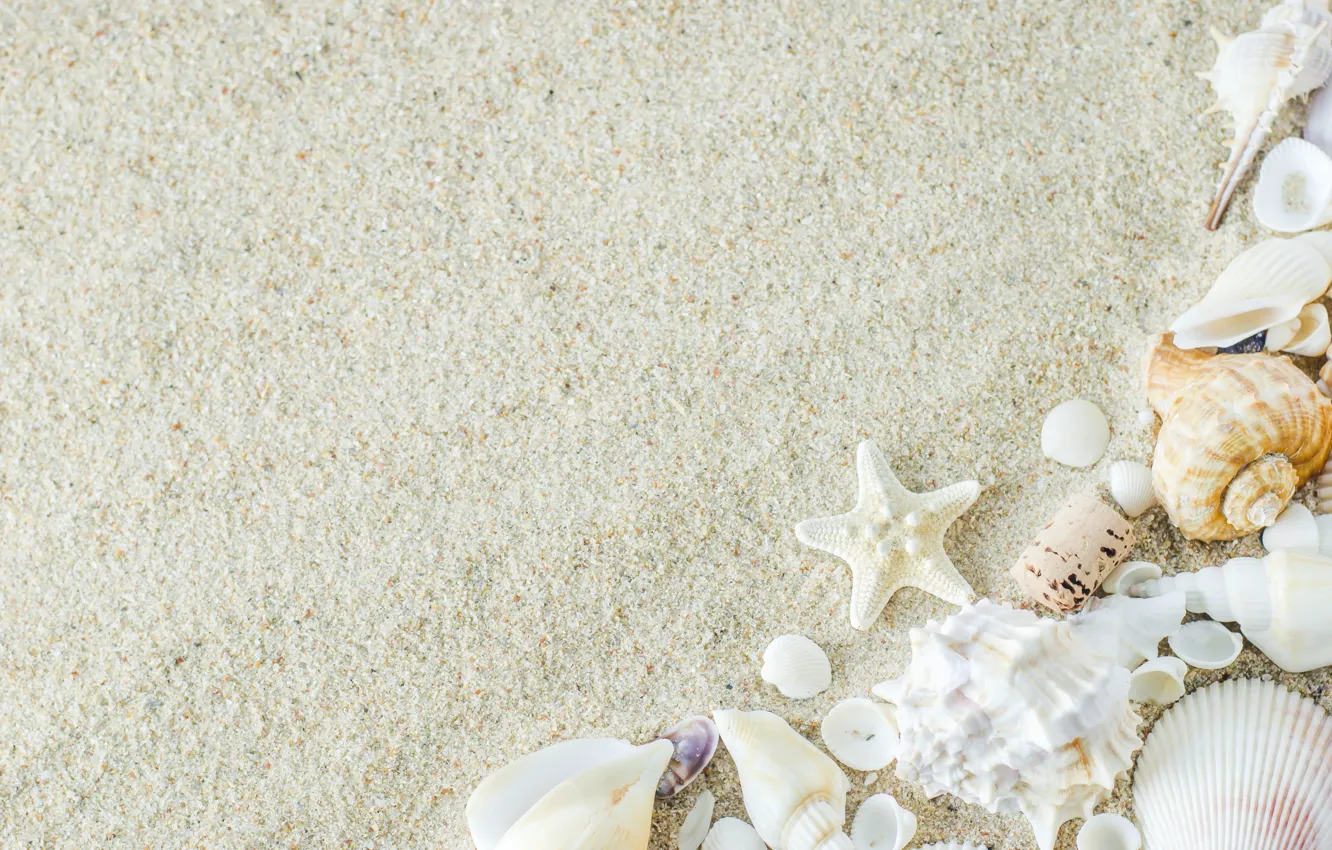 Photo wallpaper sand, beach, stars, shell, summer, beach, sand, marine