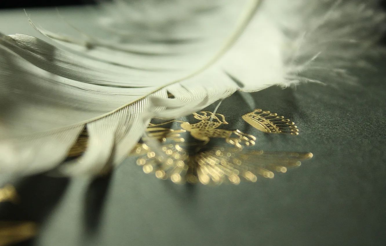 Photo wallpaper white, eagle, feathers, book, gold plated, coat of arms
