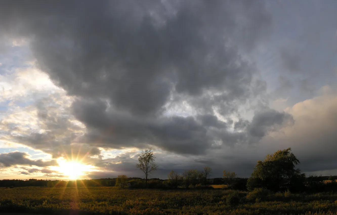 Photo wallpaper grass, the sun, landscape, photo, home, Wallpaper for desktop