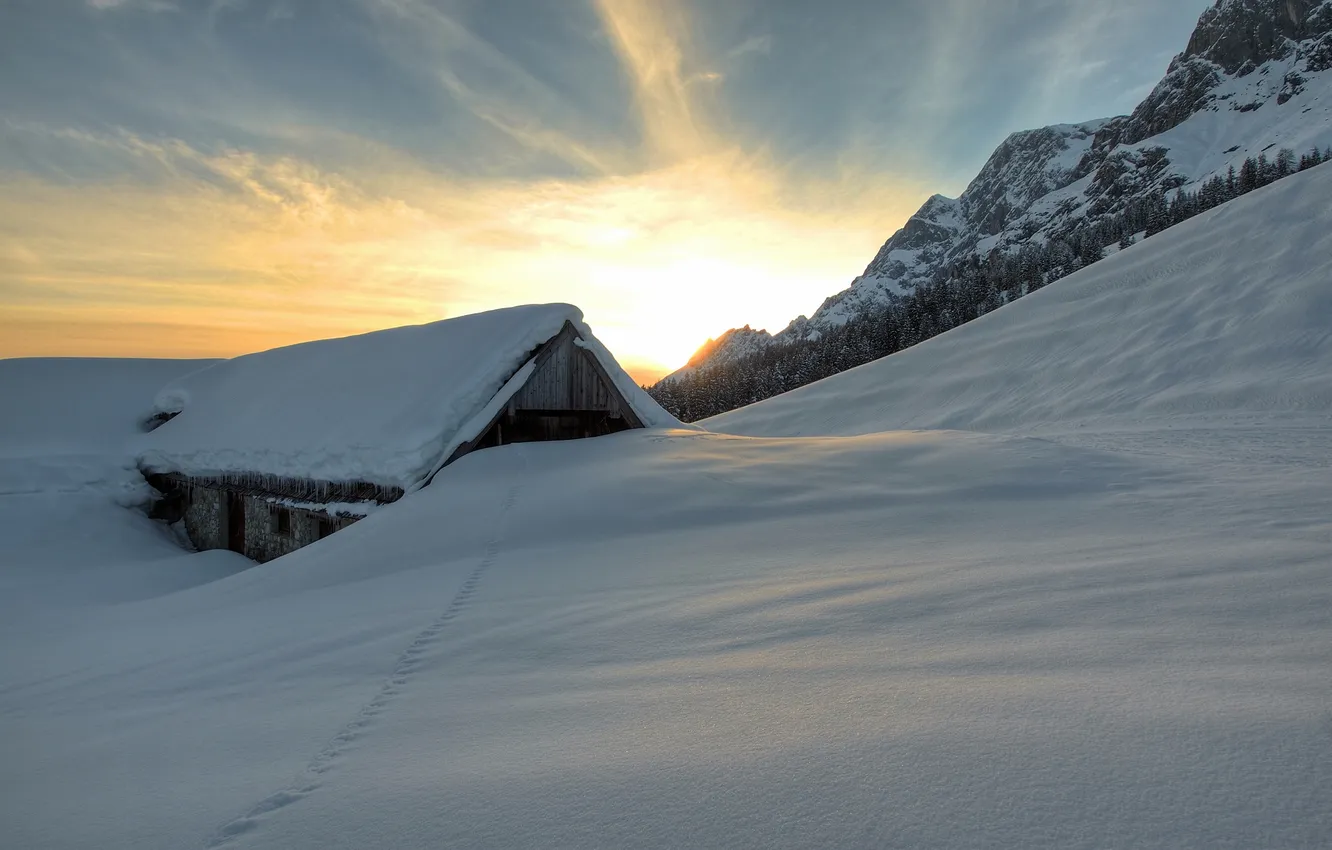 Photo wallpaper winter, forest, snow, trees, sunset, mountains, traces, home