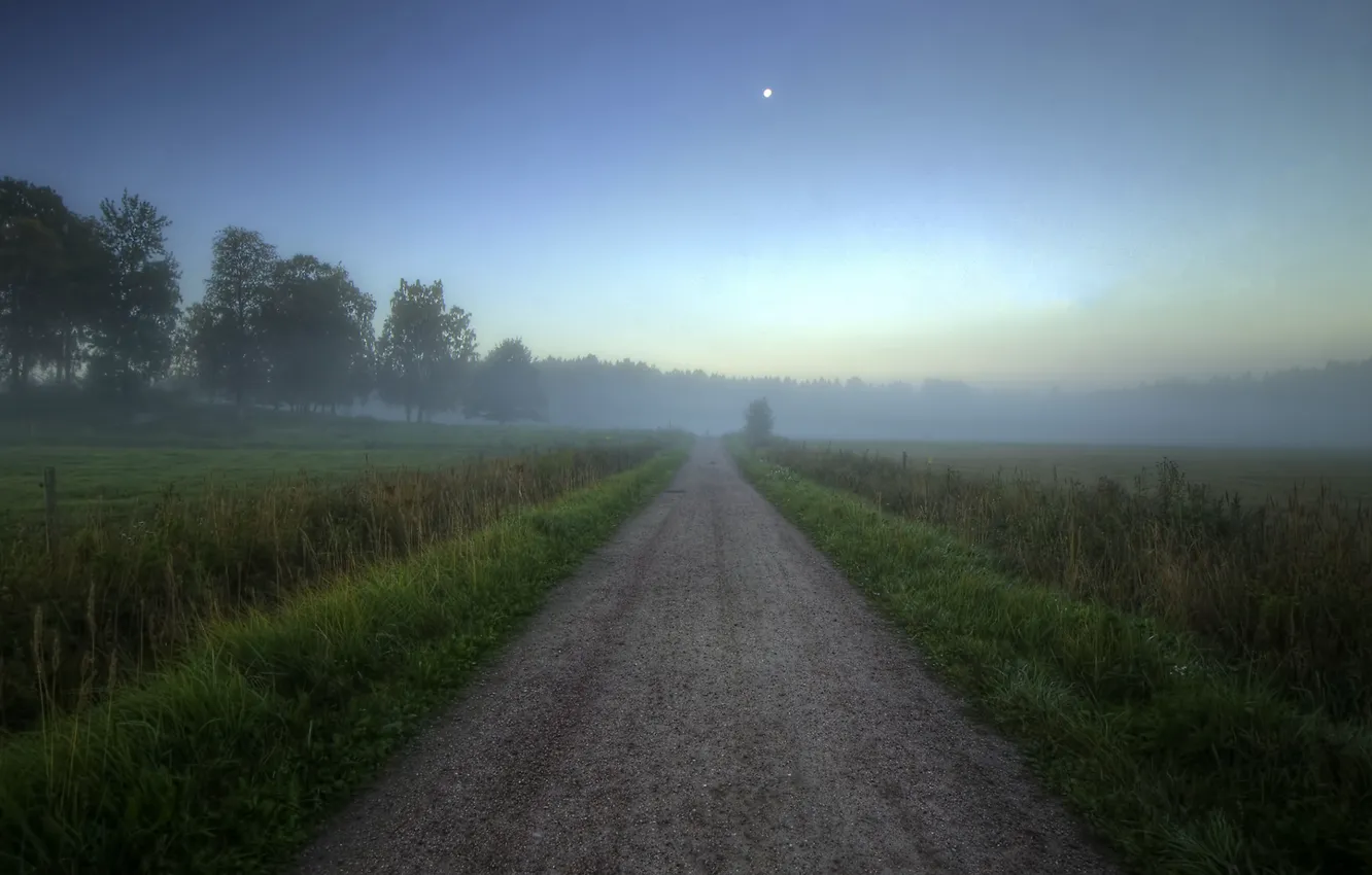 Photo wallpaper road, fog, field, morning