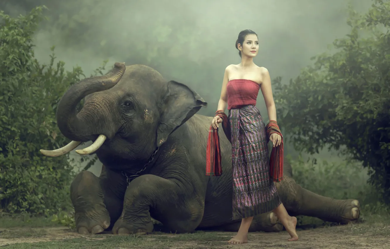 Photo wallpaper pose, haze, Asian, beautiful girl, tusks, trunk, shrub, elephant