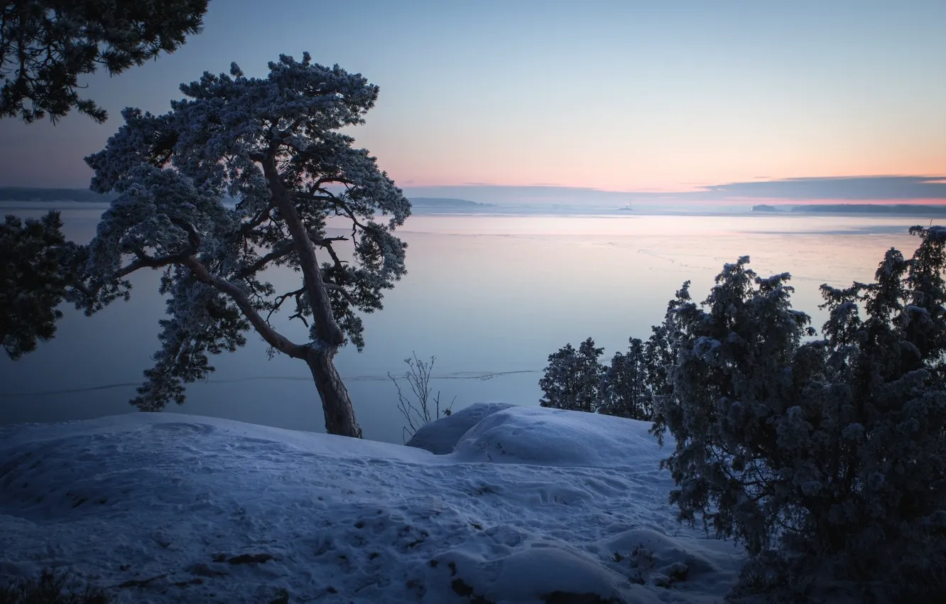 Photo wallpaper winter, frost, the sky, trees, Finland