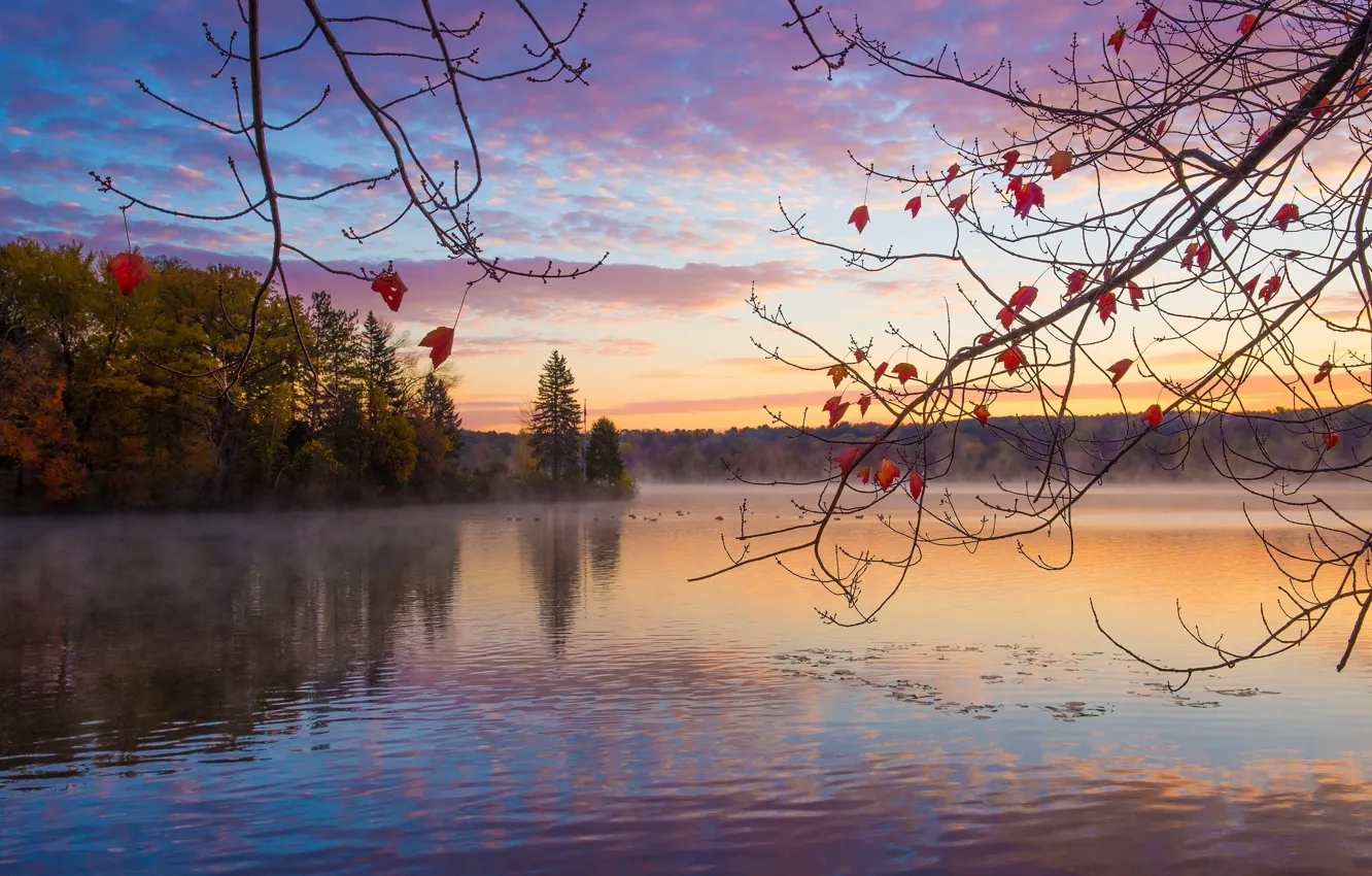 Photo wallpaper autumn, forest, lake, sunrise, morning