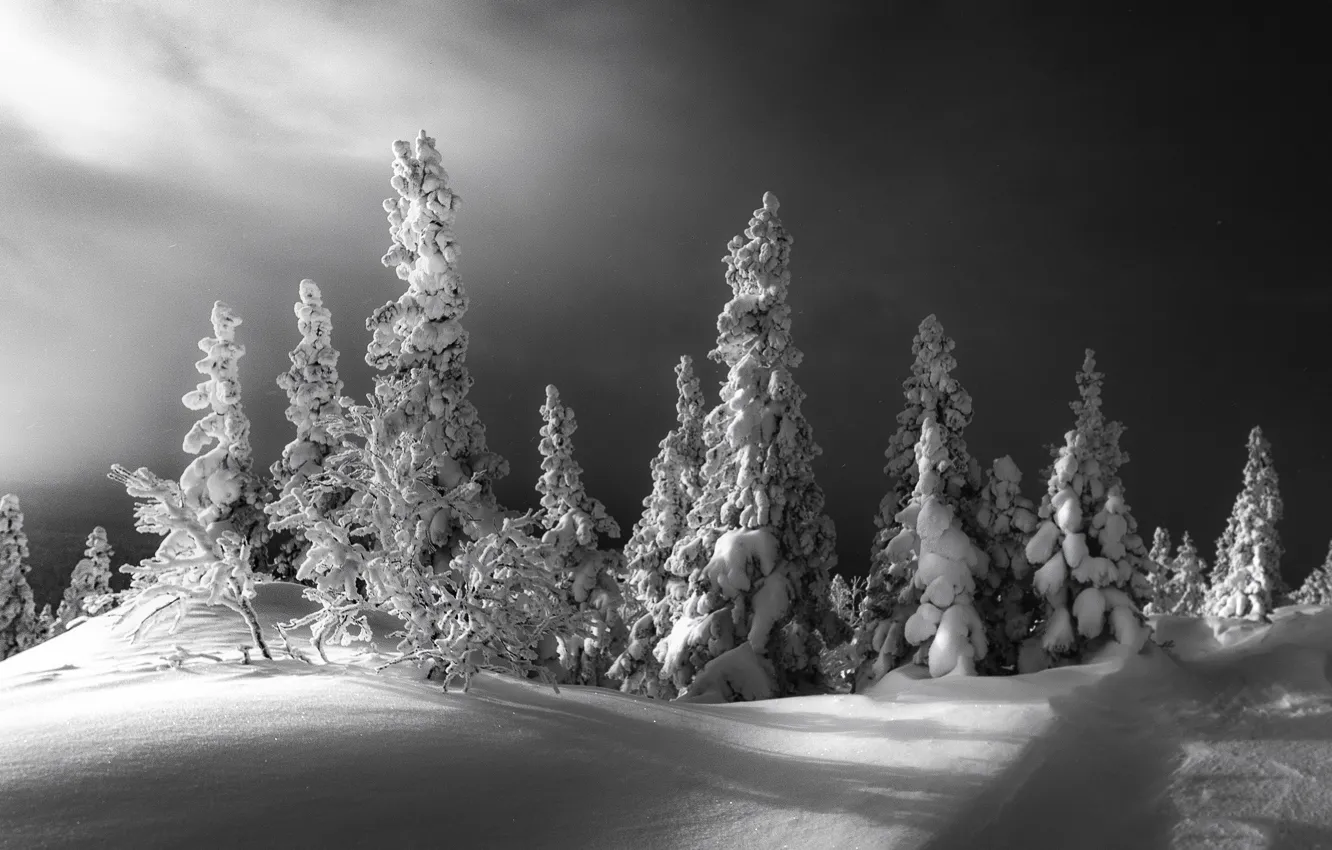 Photo wallpaper winter, snow, trees, landscape, clouds, nature, ate