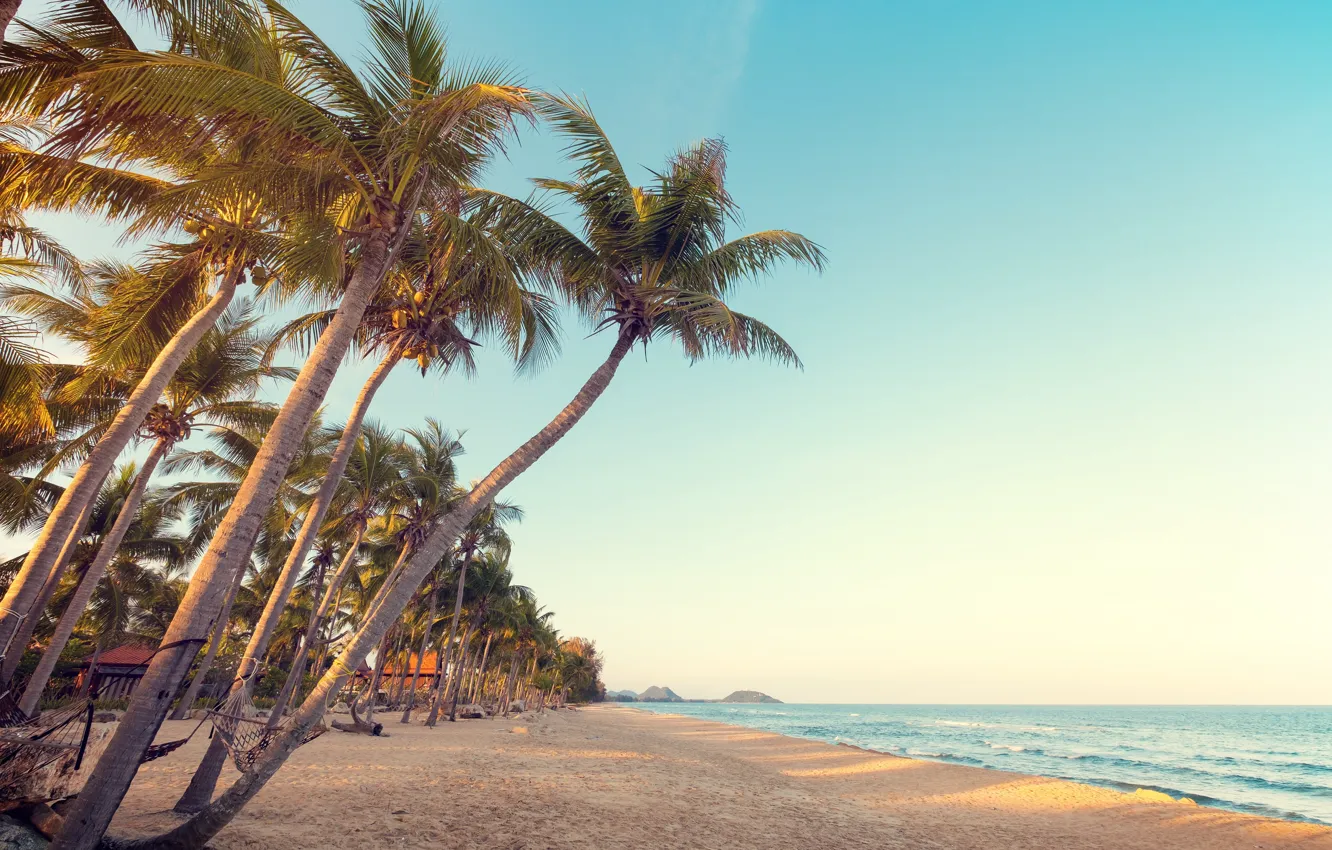 Photo wallpaper sand, beach, summer, tropics, palm trees, stay, shore
