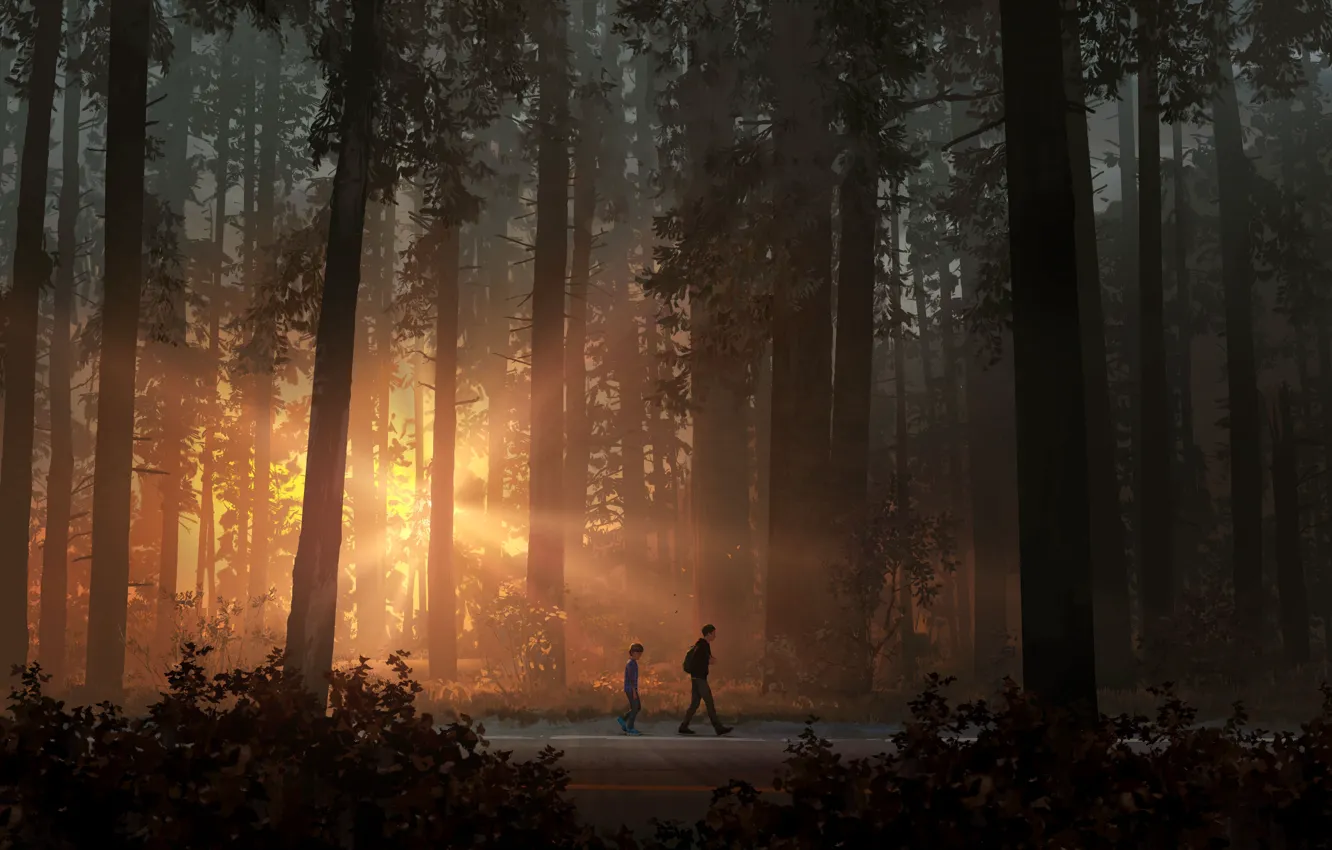 Photo wallpaper art, Life Is Strange, life is strange 2, Life is Strange Universe