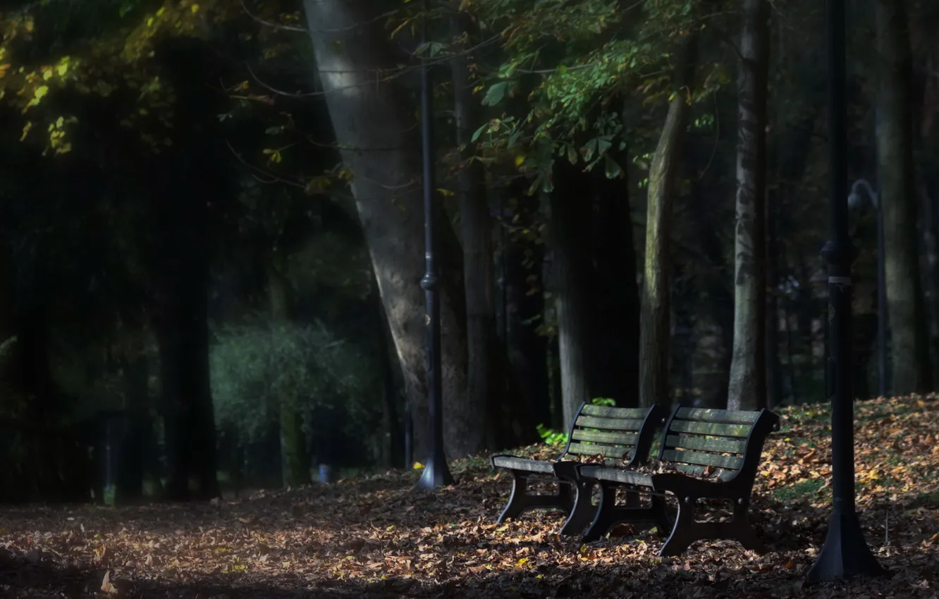 Photo wallpaper autumn, Park, bench, Last Sunray