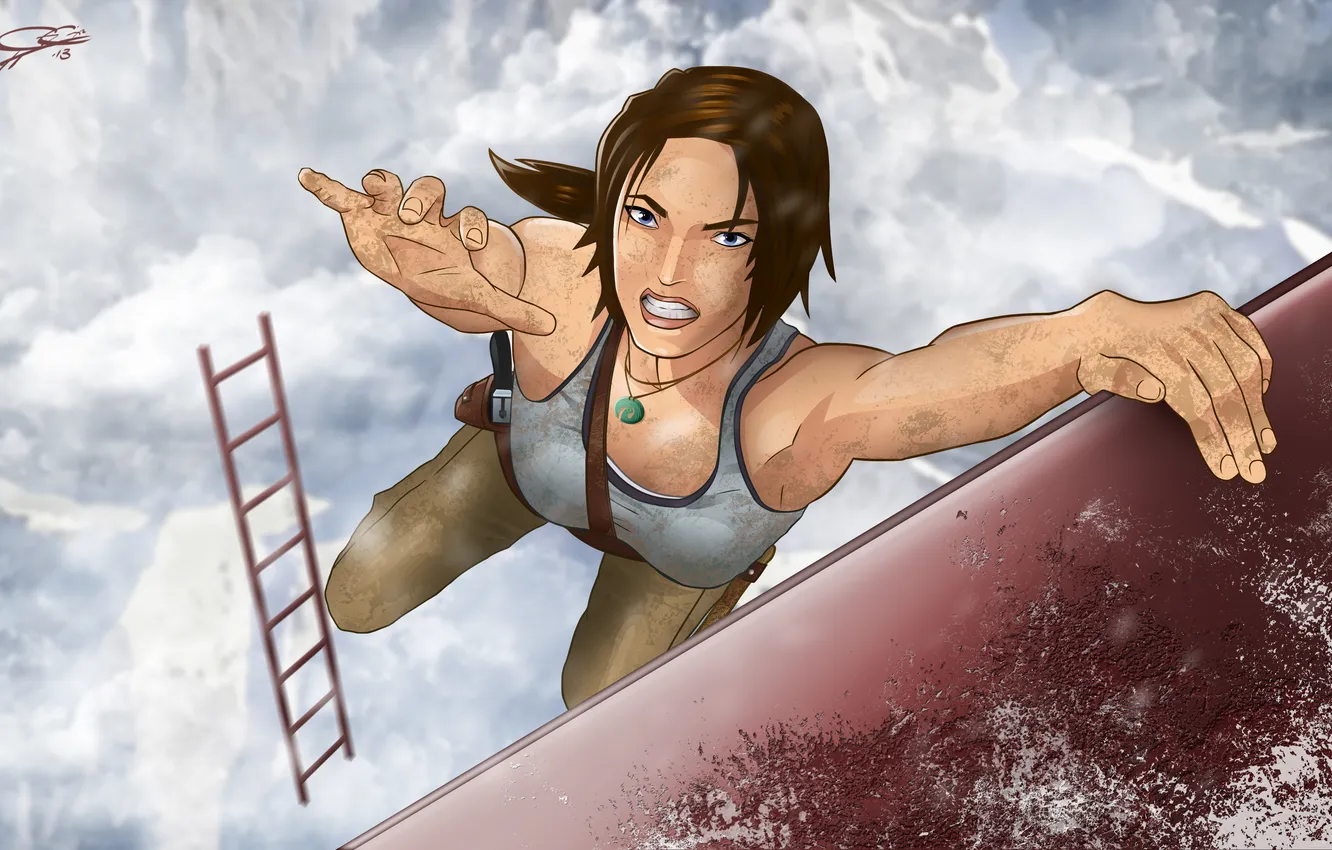 Photo wallpaper girl, the game, figure, ladder, Tomb Raider, lara croft