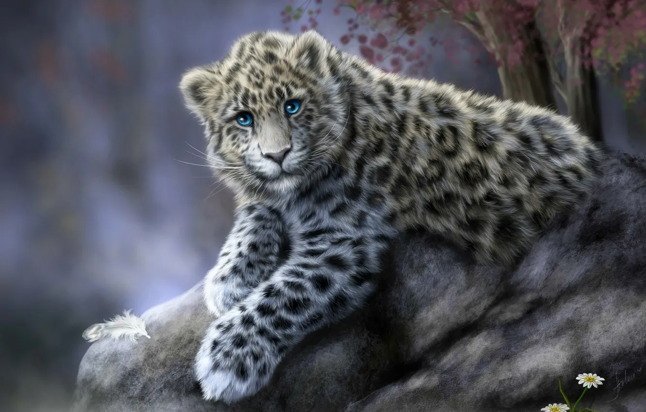 Photo wallpaper cat, animal, stone, chamomile, leopard, IRBIS, snow leopard, a feather