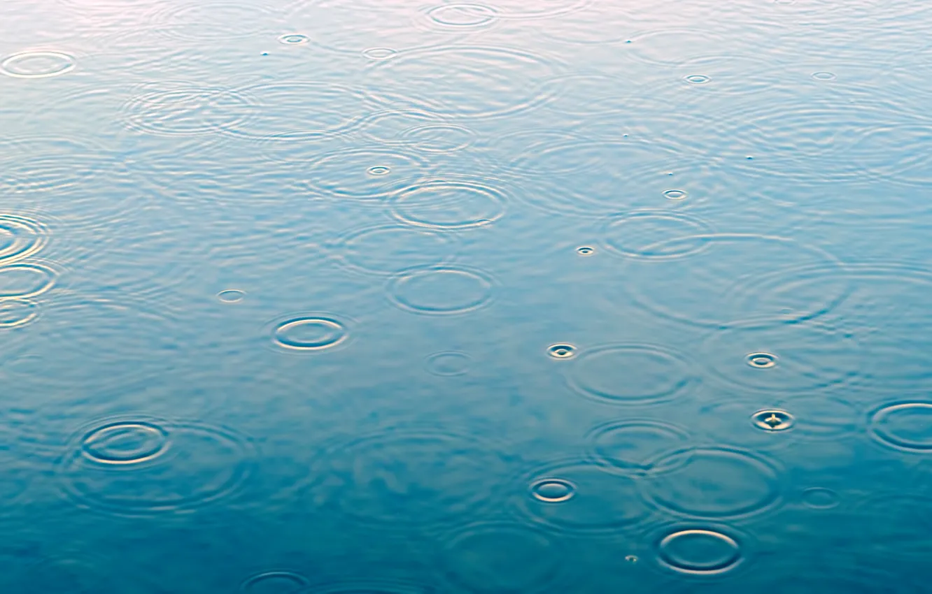 Photo wallpaper water, drops, macro, rain, rain, water, drops, raindrops