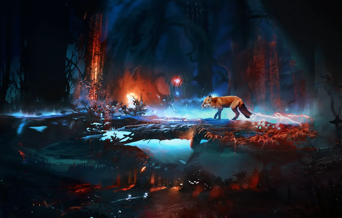 Photo wallpaper forest, trees, night, magic, art, Fox, Fox
