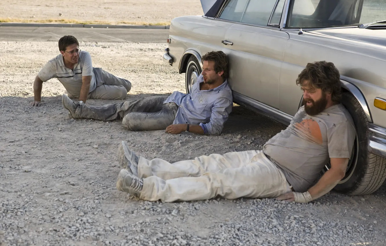 Photo wallpaper machine, Bachelor party, in Vegas, volca pack