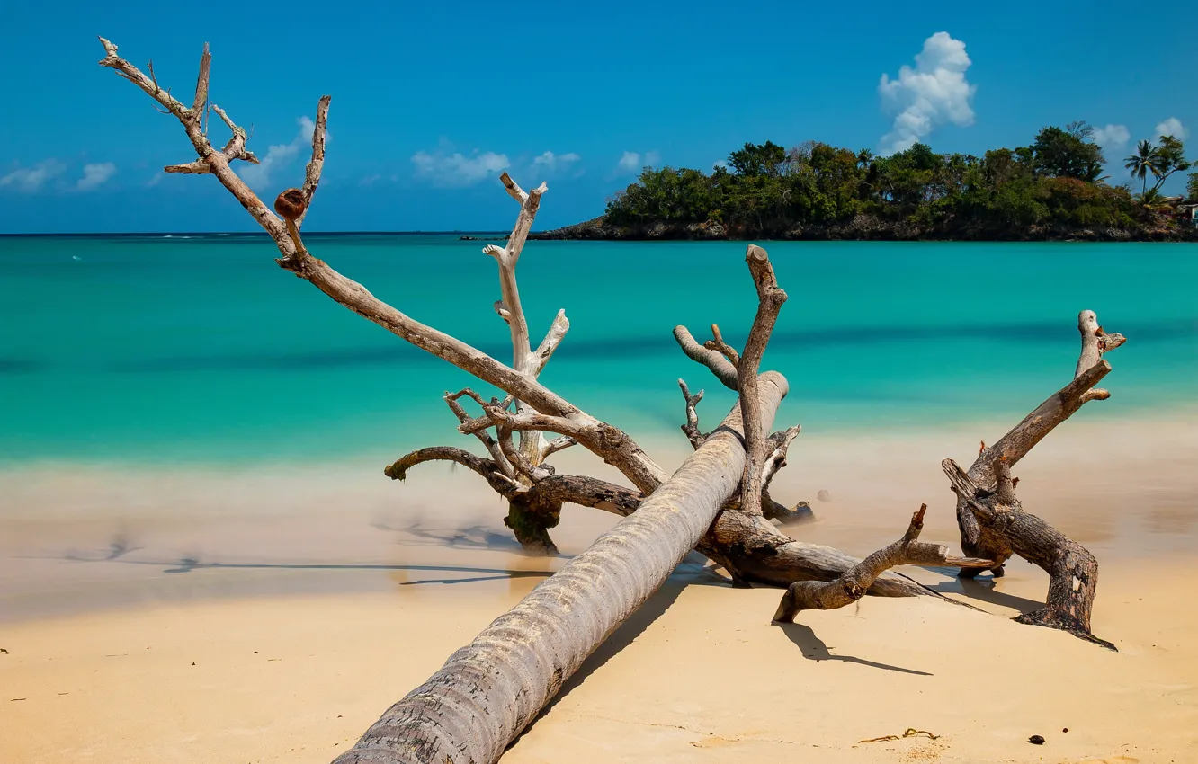 Photo wallpaper sand, sea, the ocean, snag, Dominican Republic, Samana