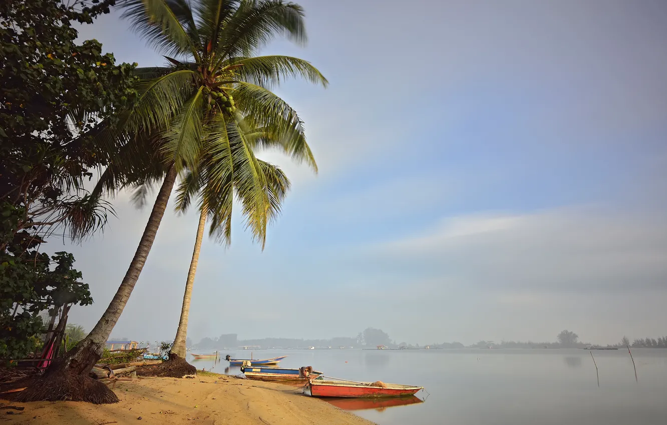 Photo wallpaper the sky, fog, palm trees, shore, boat, Bay
