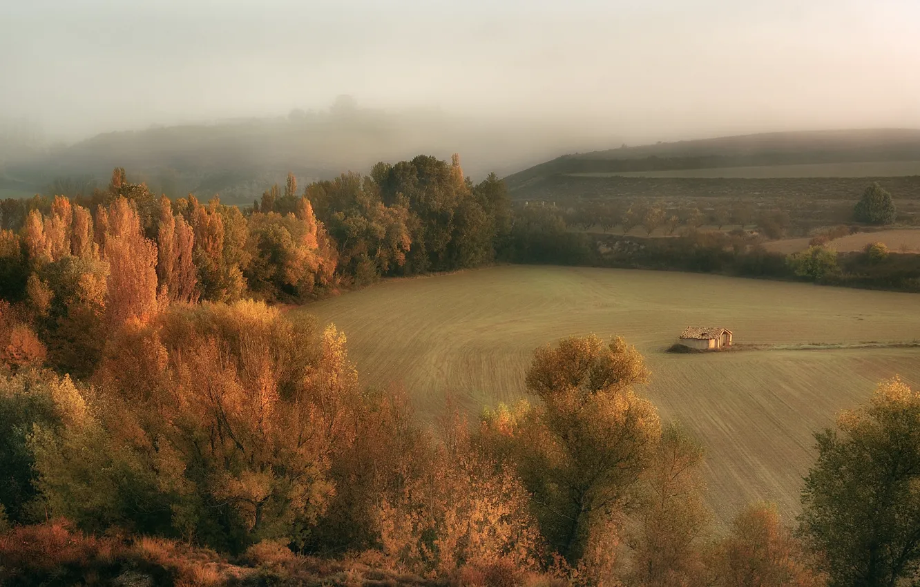 Photo wallpaper field, autumn, haze, The cabin