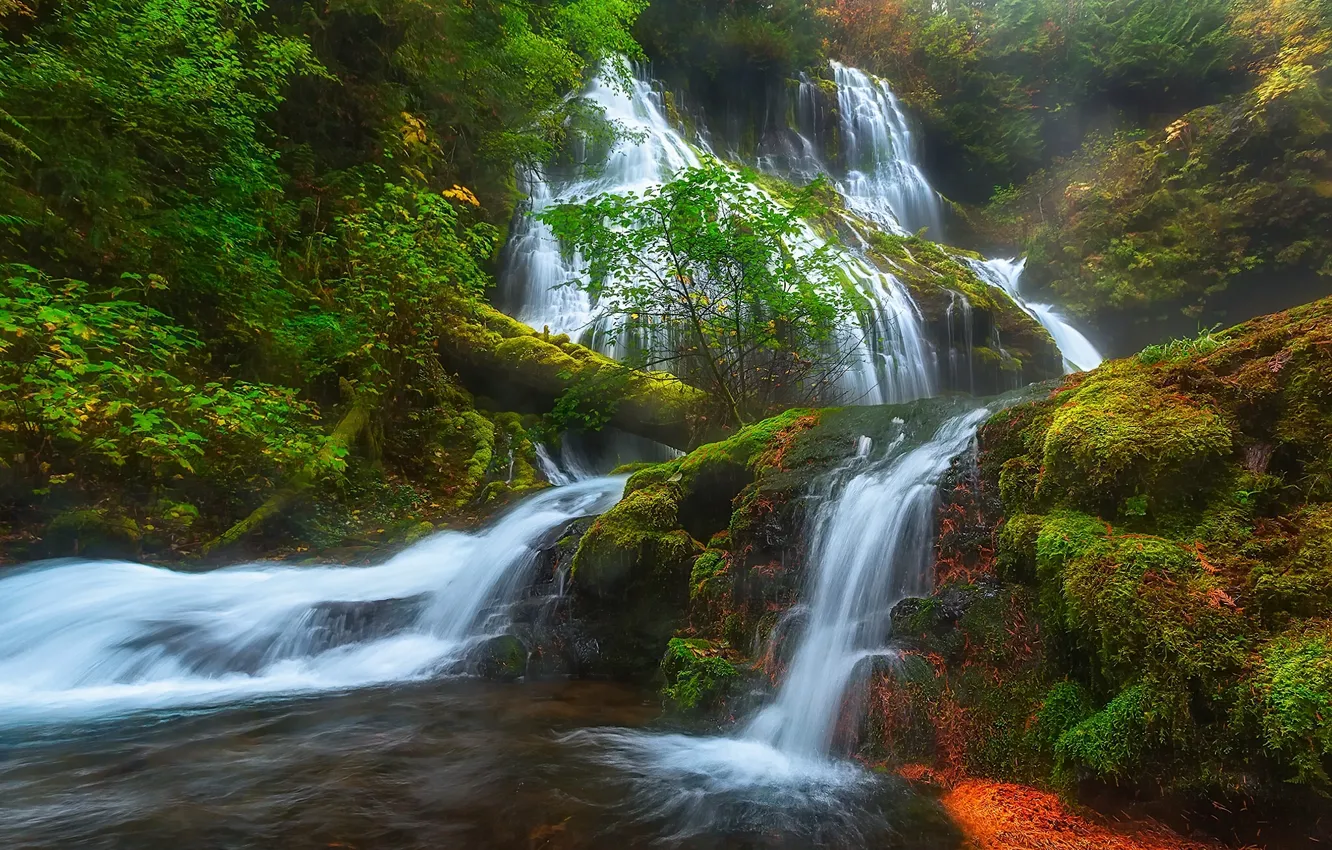Photo wallpaper forest, waterfall, moss, cascade, Washington, Washington, Columbia River Gorge, Panther Creek Falls