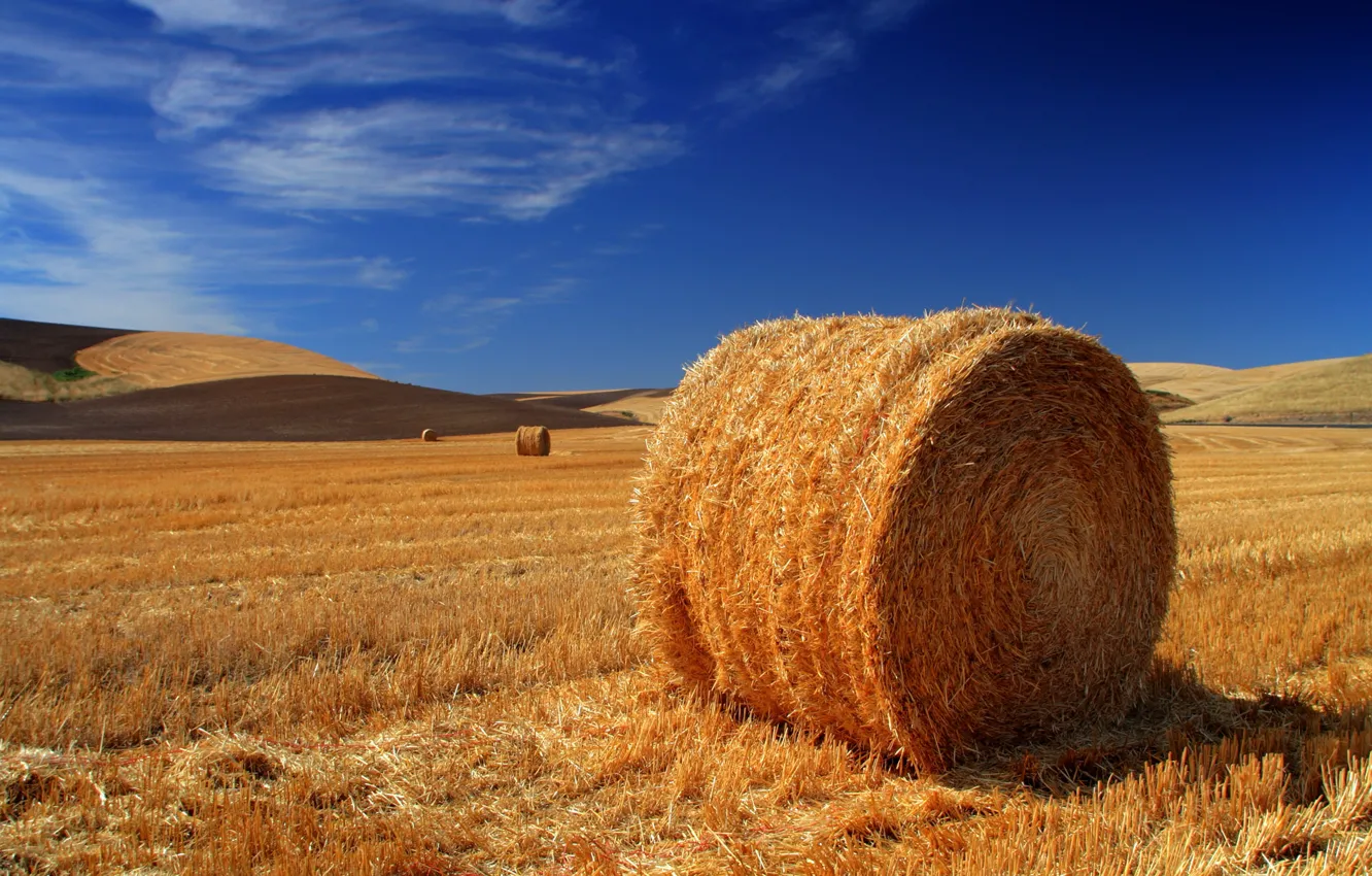 Photo wallpaper field, stack, hay