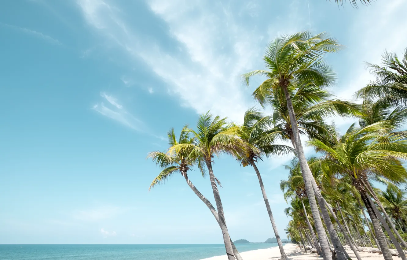 Photo wallpaper sea, beach, summer, nature, tropics, palm trees