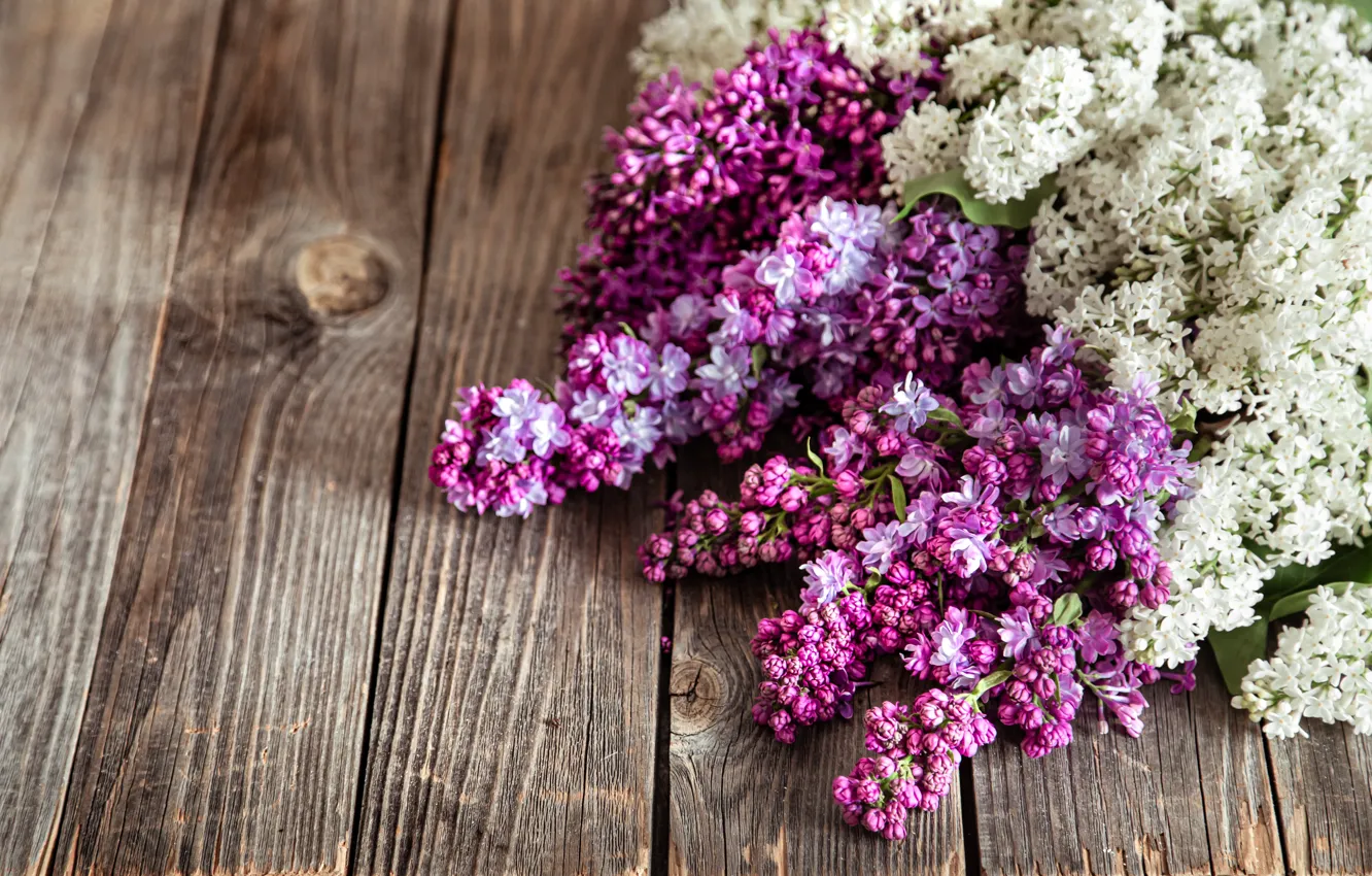 Photo wallpaper white, flowers, Board, bouquet, lies, lilac, lilac