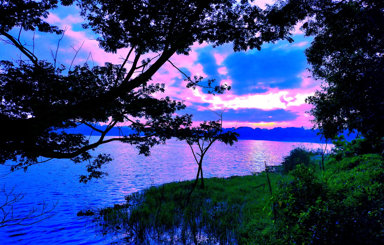 Photo wallpaper grass, sky, trees, water, clouds, lake, morning, sun