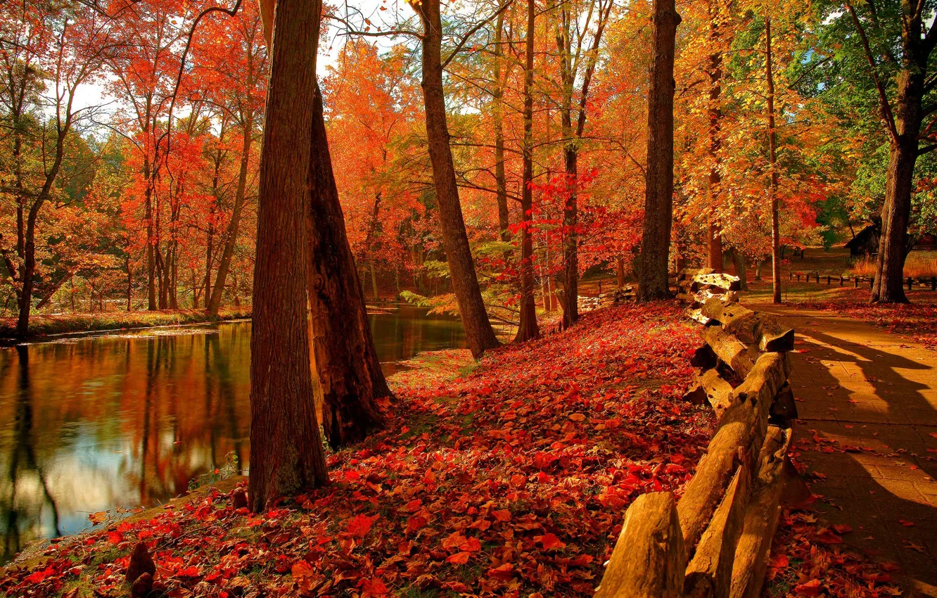Photo wallpaper autumn, forest, the sky, leaves, water, trees, mountains, nature