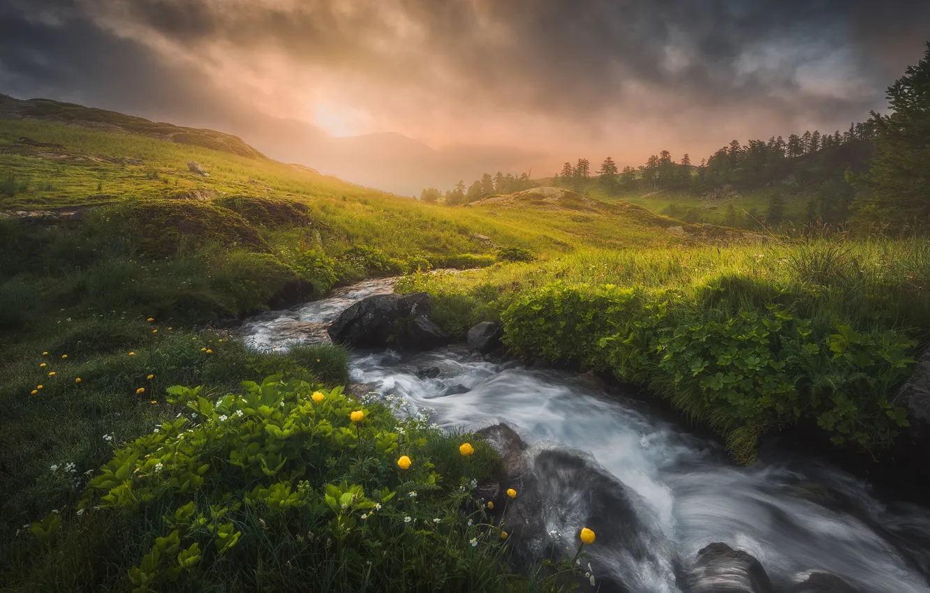 Photo wallpaper stream, dawn, morning, meadow, Safar Bahishev