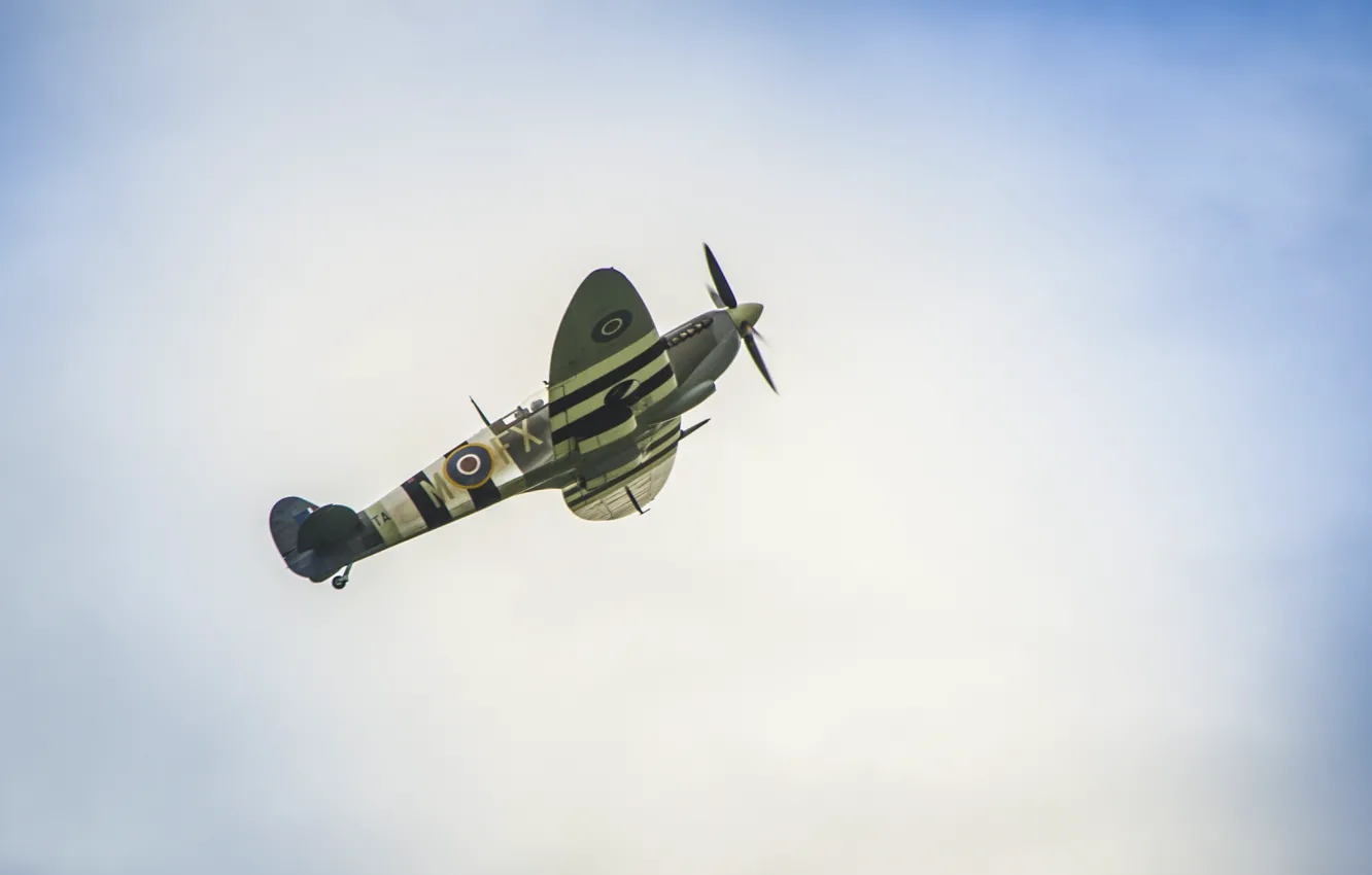 Photo wallpaper the sky, fighter, the plane