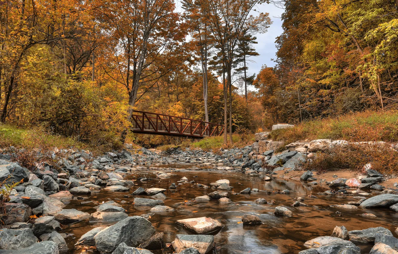 Photo wallpaper autumn, forest, trees, bridge, stones, Canada, river, Canada