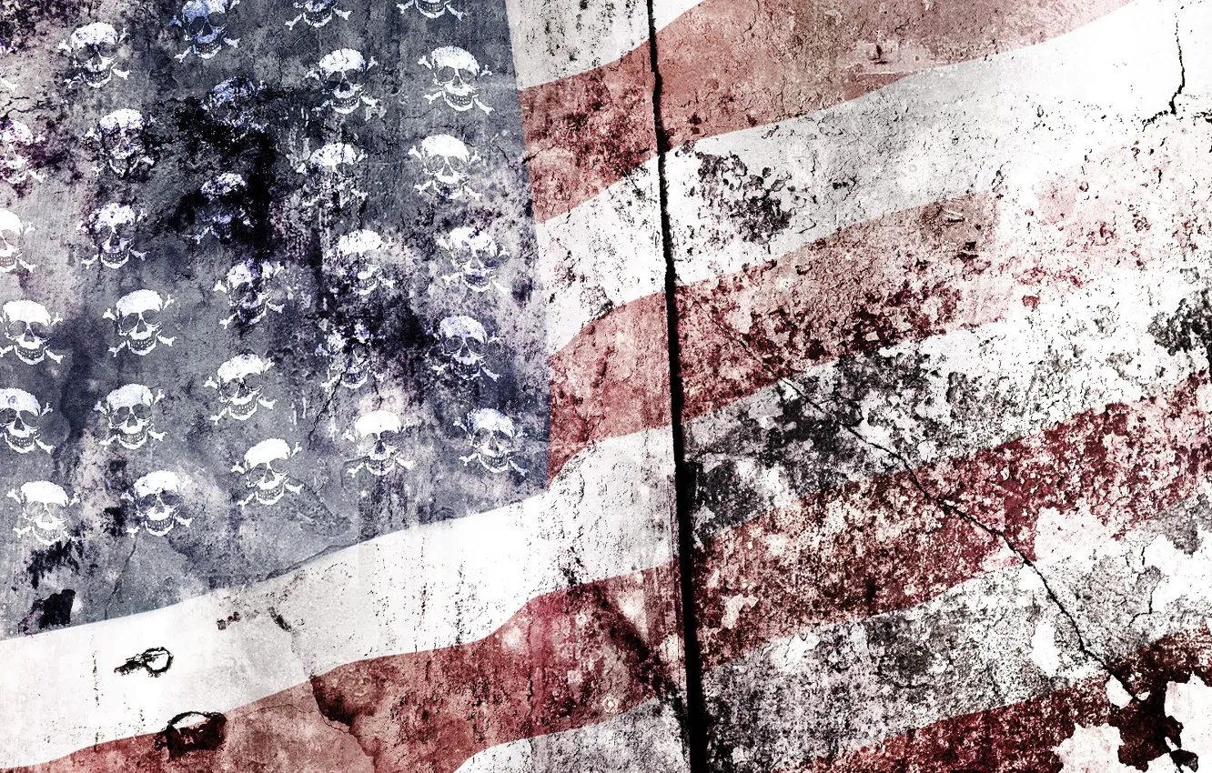 Photo wallpaper flag, skull, American, Alex Cherry