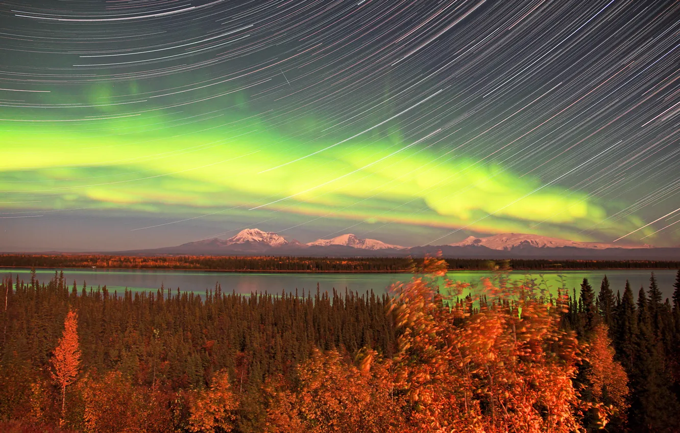 Photo wallpaper forest, water, mountains, lights, Alaska