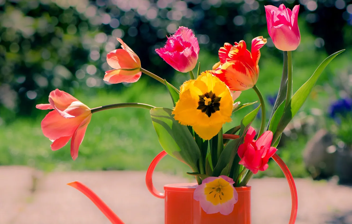 Photo wallpaper flowers, bouquet, tulips, lake