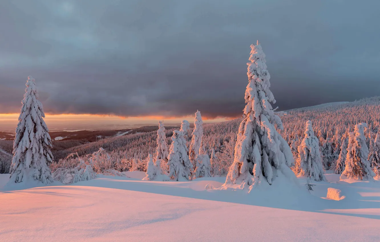 Photo wallpaper winter, frost, field, forest, the sky, light, snow, mountains