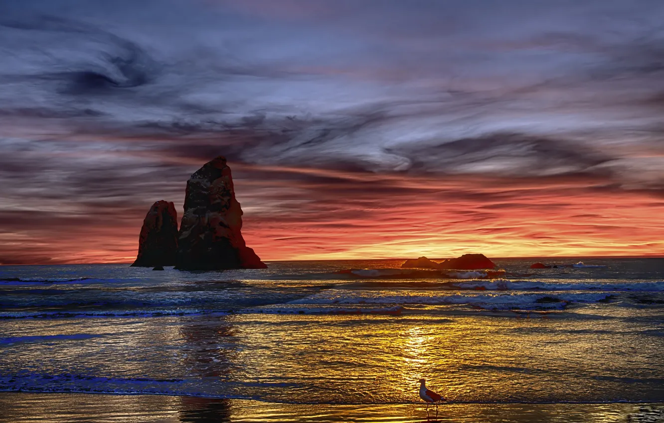 Photo wallpaper sea, sunset, shore