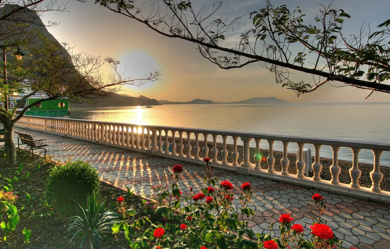 Photo wallpaper sea, the sky, the sun, trees, flowers, coast, alley