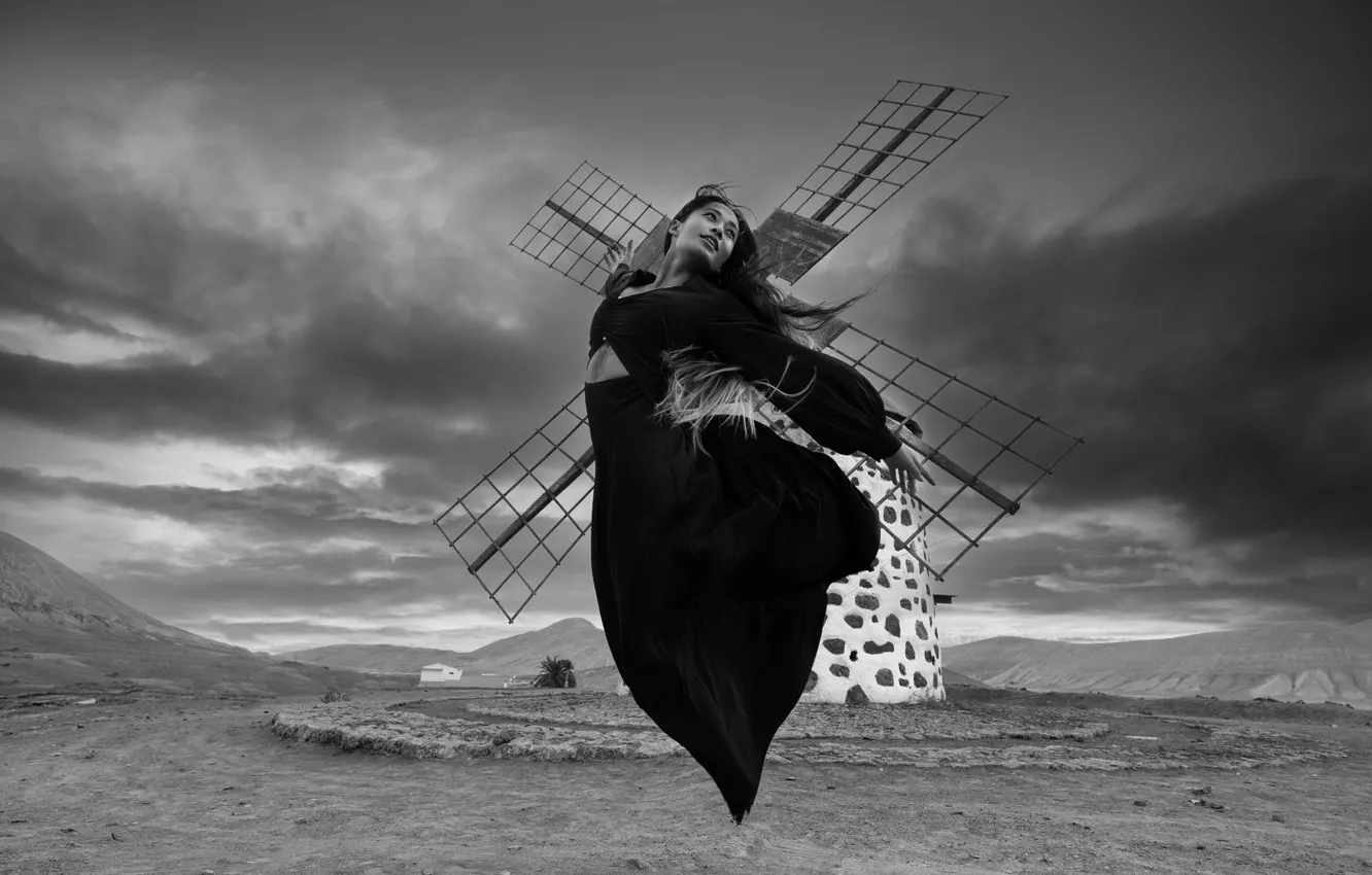 Photo wallpaper flight, dragonfly, dress black